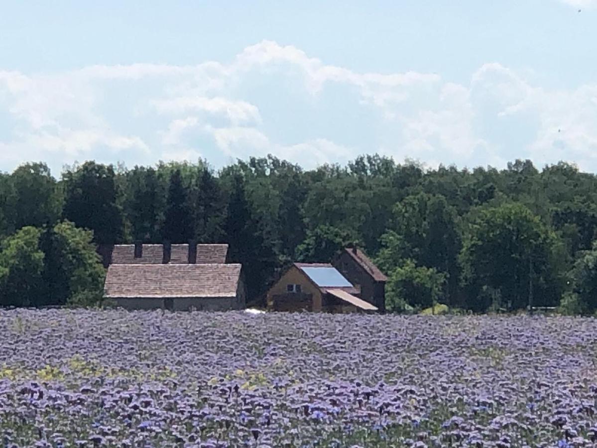Ferienhof Olbasee Kleinsaubernitz المظهر الخارجي الصورة